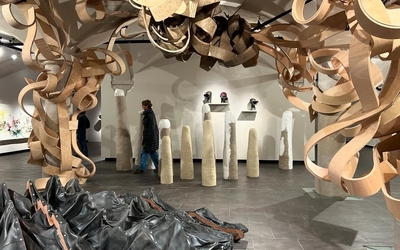 Installation de Ferdinand Makouvia