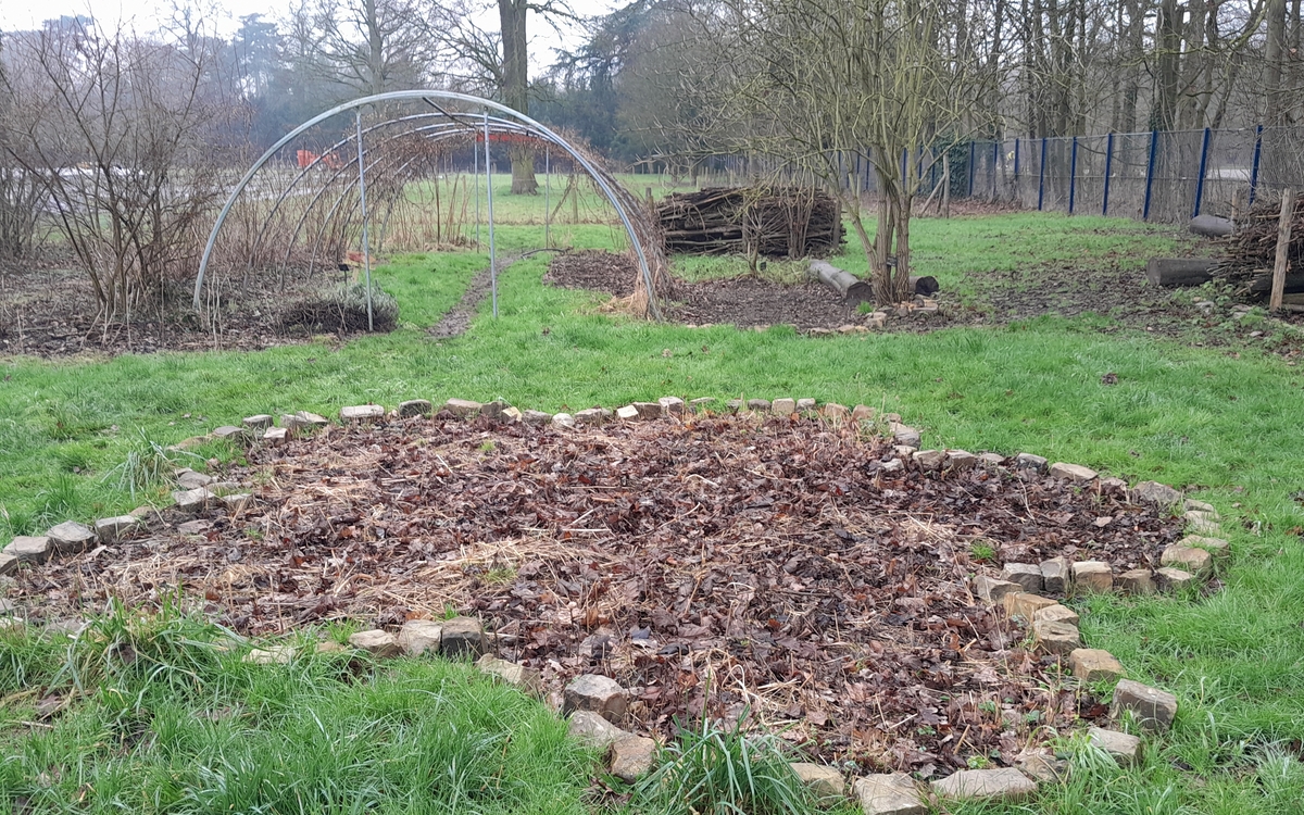 Massif pour semis de fleures comestibles