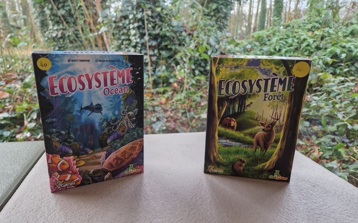 19a-Jeux_-_Frédéric Jarry