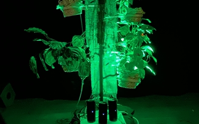 Installation musiale qui questionne nos interractions avec la nature