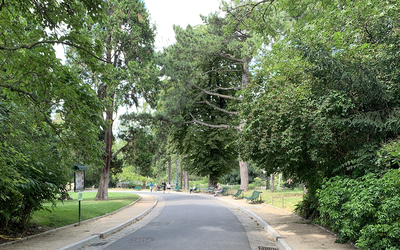 Allée du Parc Montsouris Paris 14ème