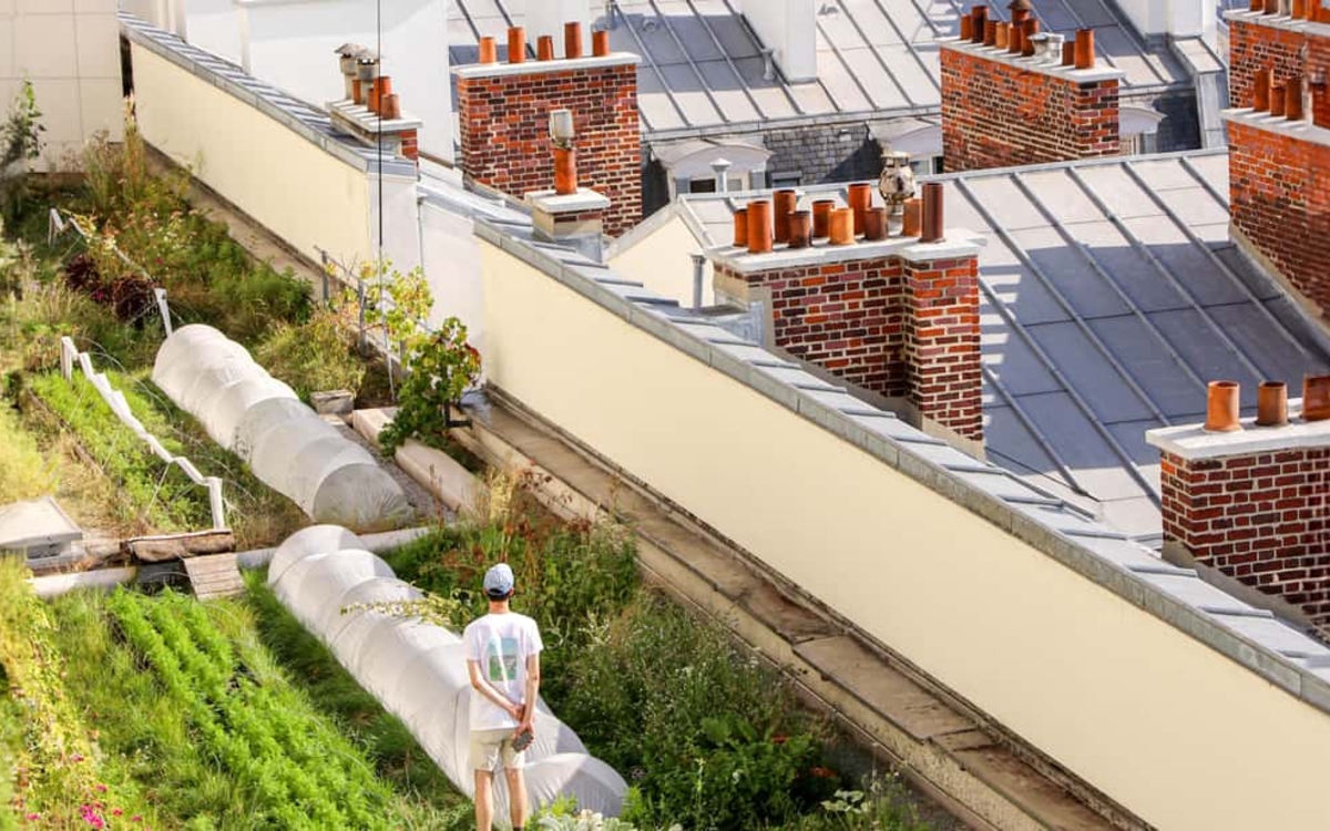 un toit avec un potager