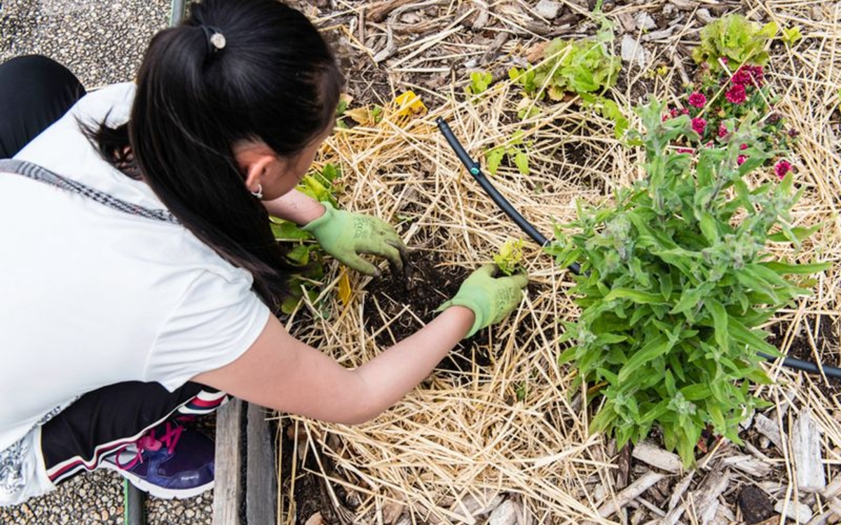 un enfant dans un potage 