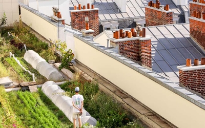 un toit avec un potager