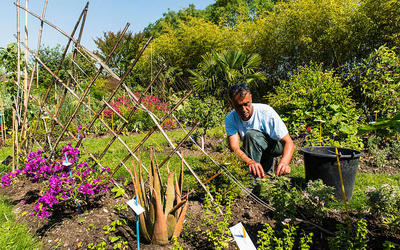 un jardinier