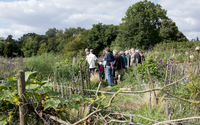 Chantier participatif à la ferme de Paris