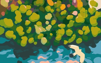 Nuits des Forêts 2025
