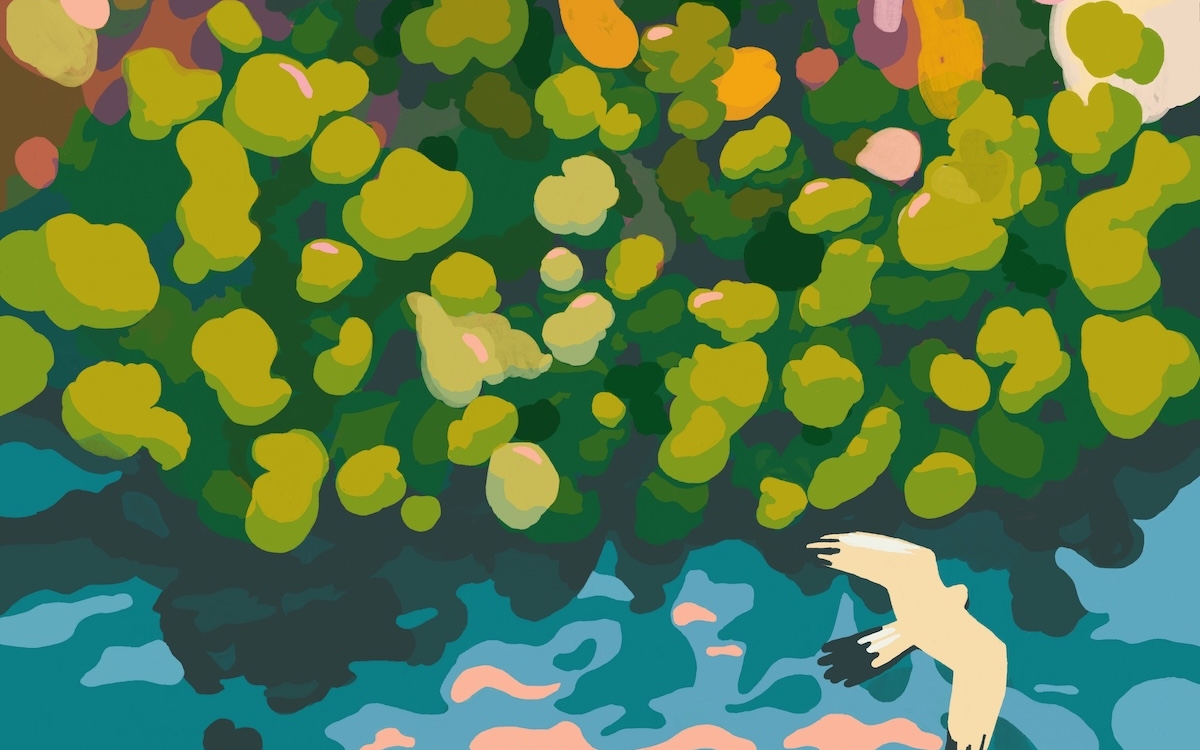 Illustration d’une forêt composée de plusieurs nuances de vert. Au premier plan on observe un oiseau blanc survolant cette dernière. En bas de l’image on remarque des vagues bleues et roses correspondant à un point d’eau au pied des arbres.