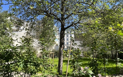 Jardin