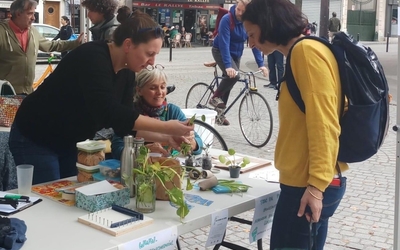 Stand dans lequel Anne échange avec une participante autour de plantes.