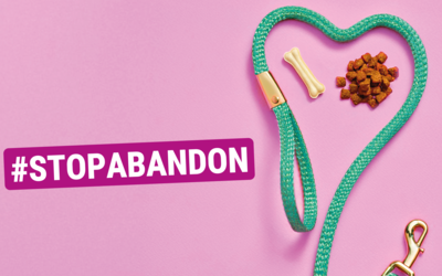 Visuel d'illustration laisse avec écrit #Stop Abandon