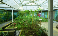 Les coulisses du Jardin des Papillons
