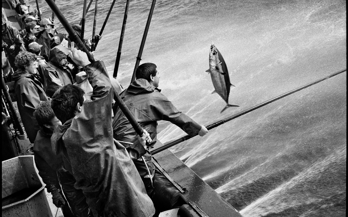 Masterclass de photographes : Jean Gaumy, Olivier Mériel et Emmanuel Ortiz