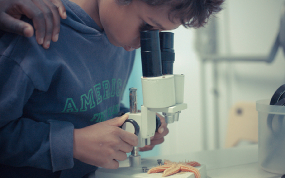 Les Petit·es scientifiques