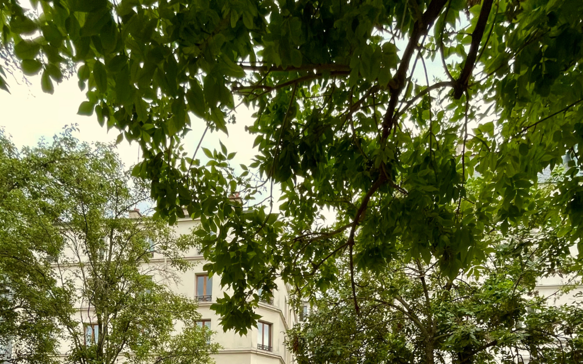 Culture Autrement – atelier : Création sonore – Mon été à Belleville