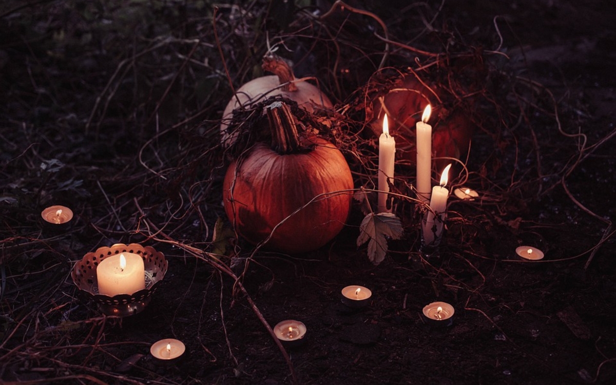 La bibliothèque du cinéma François Truffaut fête Halloween !