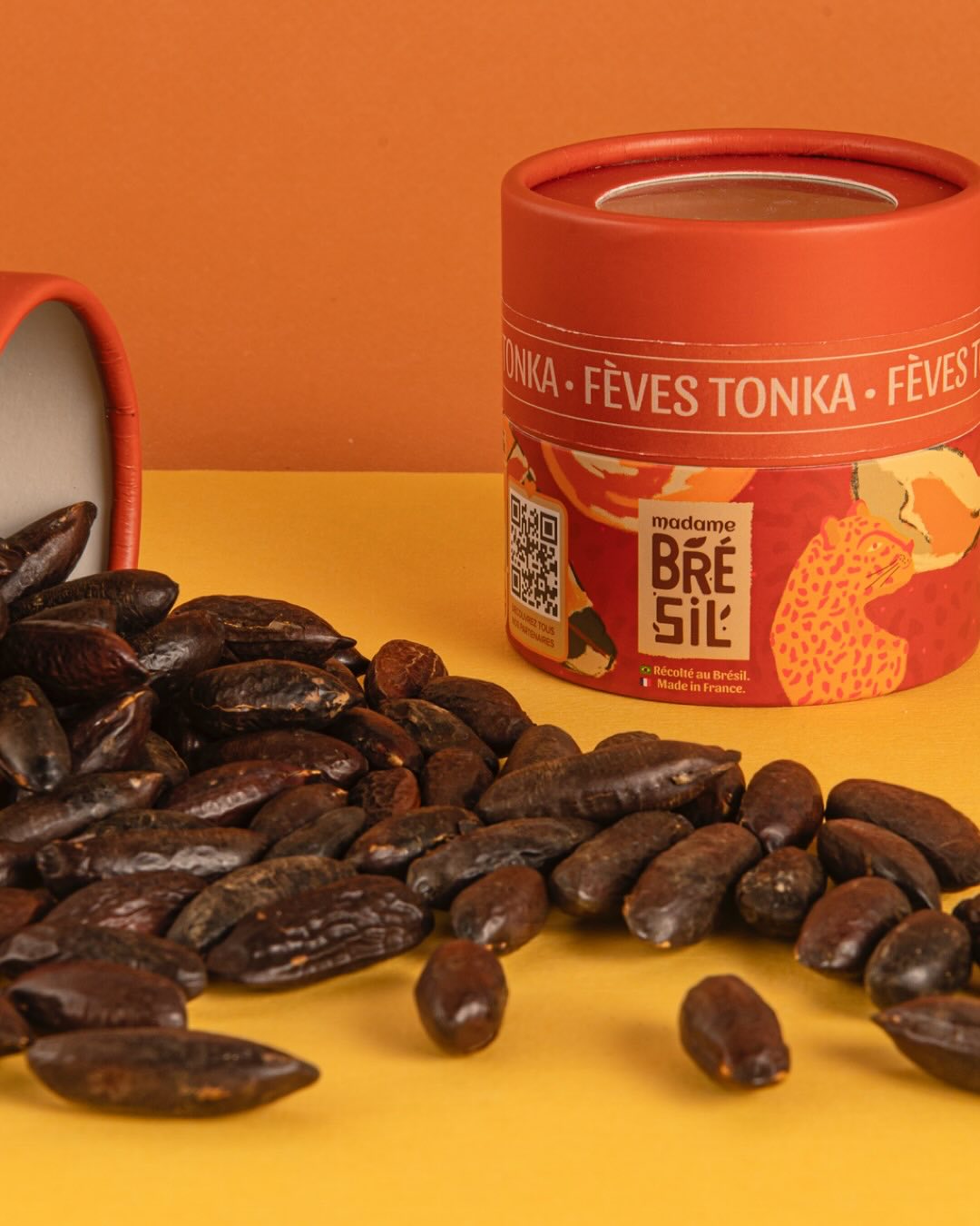 Madame Brésil - Ana Luiza Trajano et Thais Dos Santos