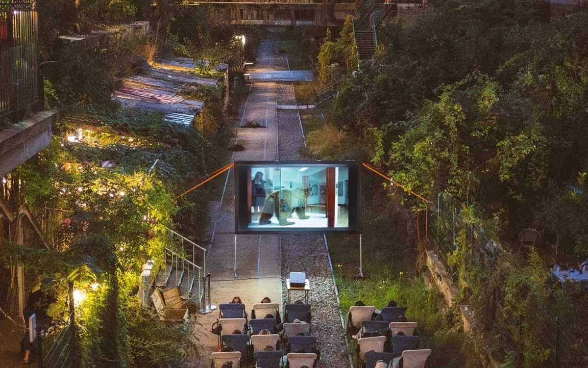 Au milieu des arbres, un cinéma en plein air