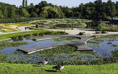 vue du lac du parc floral