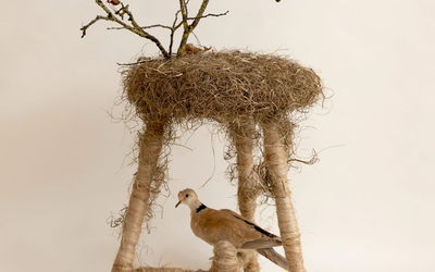 Installation d'art contemporain le rêve de l'arbre