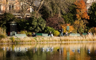 Photo de Parisiens flânant dans le Parc Montsouris.