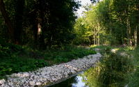 [Paris Seine] Lecture Nature : Le long de la rivière