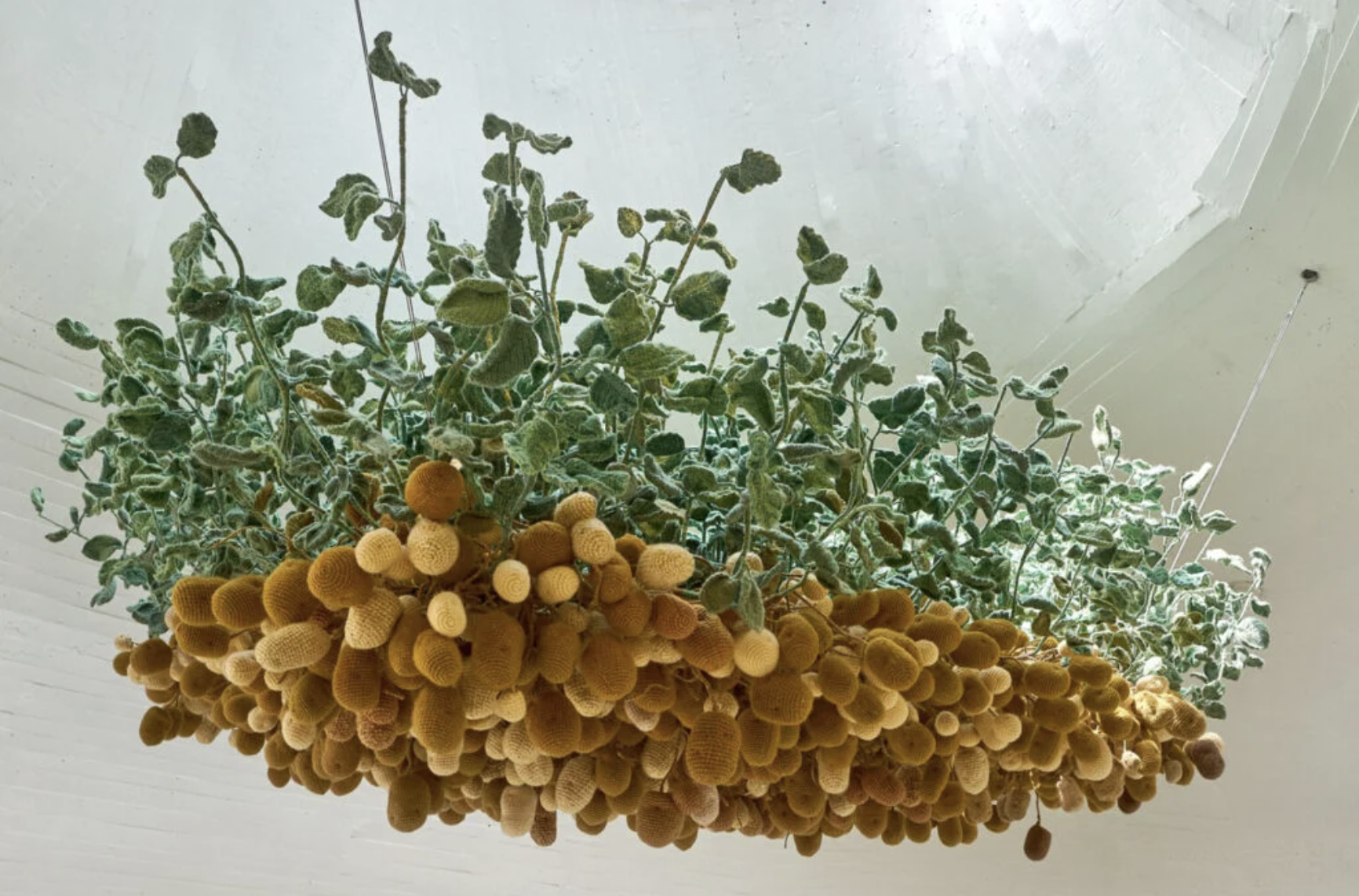 Hu Yinping, Potatoes Grow on Trees, 2025, Commissioned by UCCA Center for Contemporary Art, courtesy of the artist and Magician Space
