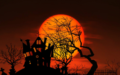 soleil orange avec silhouette d'un arbre sans feuilles