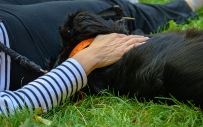 Main posée sur un chien