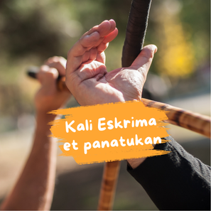 initiation aux arts martiaux - kali eskrima