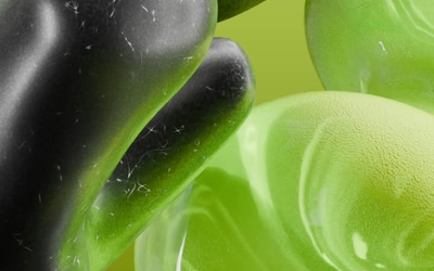 Visuel vert et gris 
