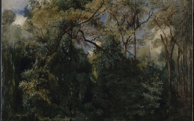 Les ormes de Saint-Cloud, Paul Huet, 1823. Petit Palais, musée des Beaux-Arts de la Ville de Paris
