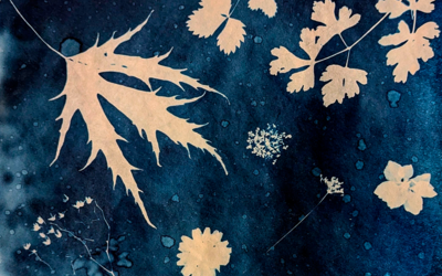 Cyanotype, fleurs, bleu, atelier à Paris 20