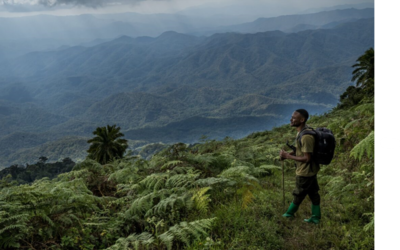 Un homme face à l'étendue verte
