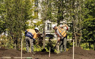 Chantier de plantation de la forêt urbaine sur le parvis de l'Hôtel de Ville. 