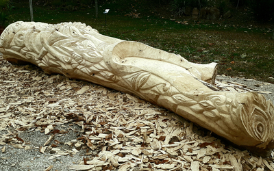 un bois sculpté