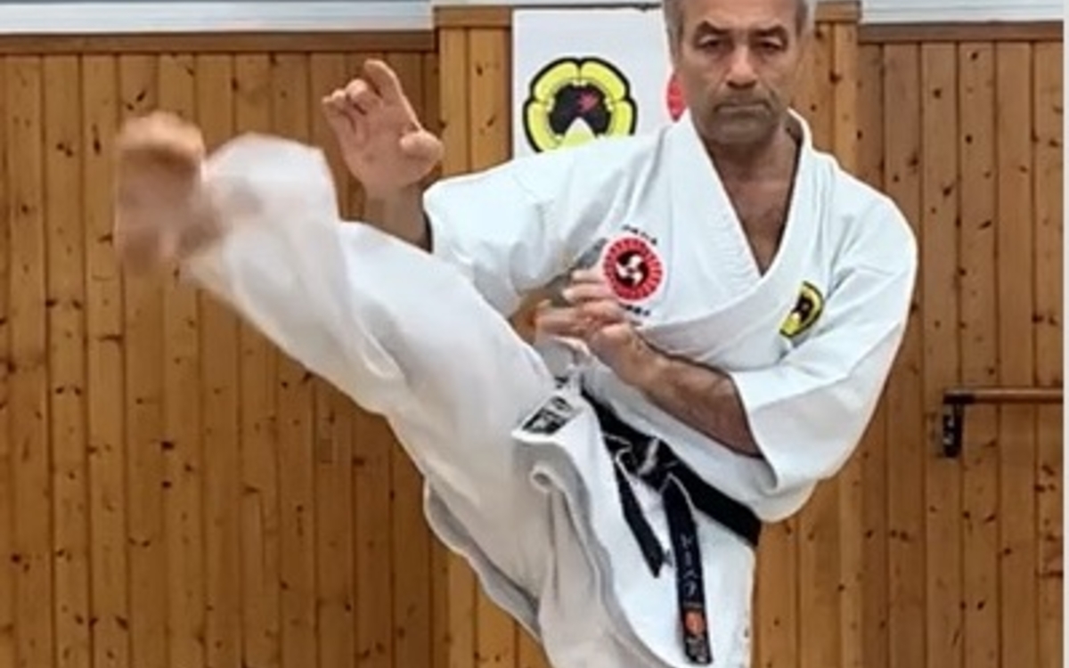 Karate shorinji ryu - kobudo d'Okinawa 