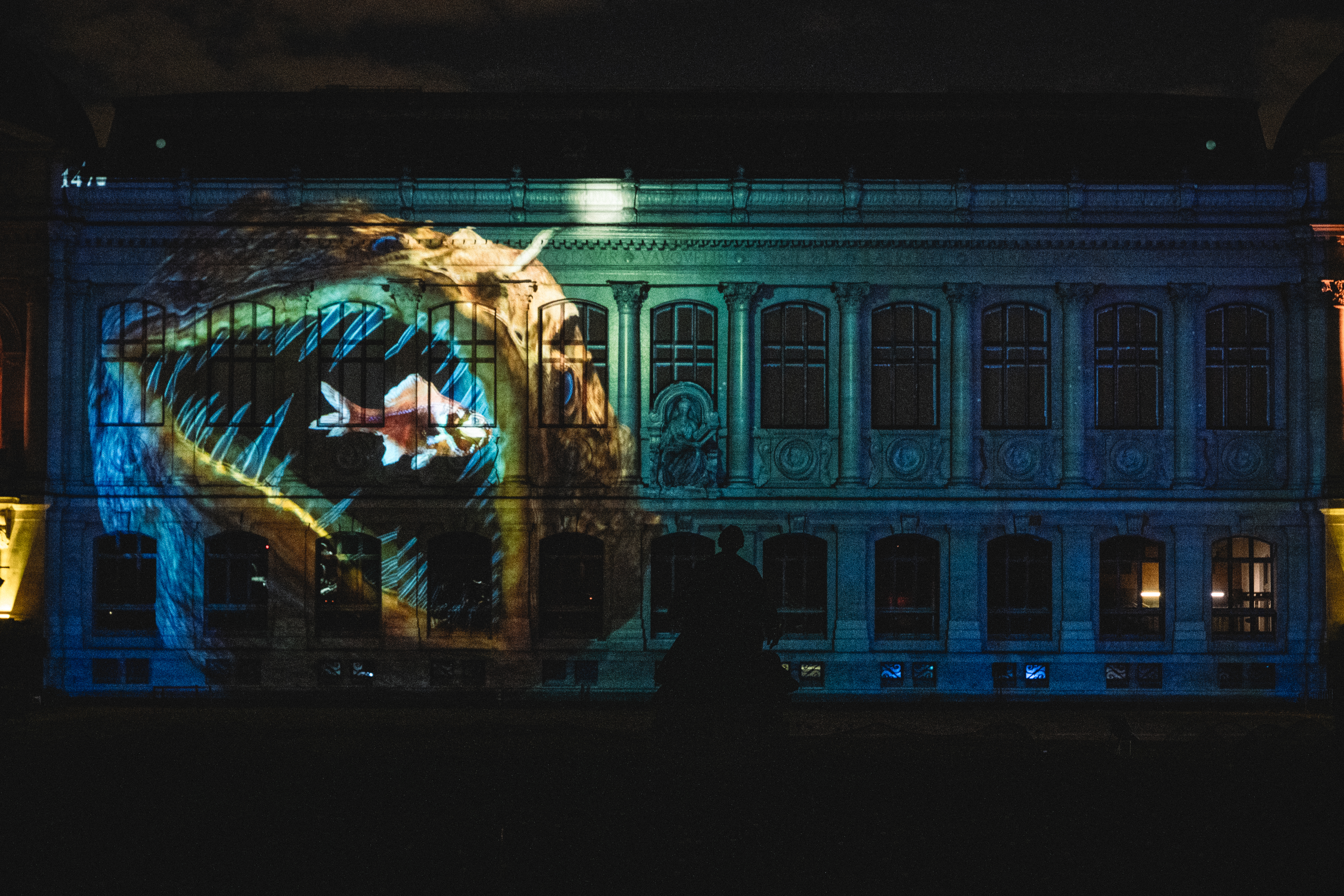 Un aquarium géant projeté sur la façade du Jardin des Plantes
