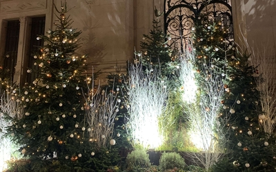 sapins de Noël éclairés
