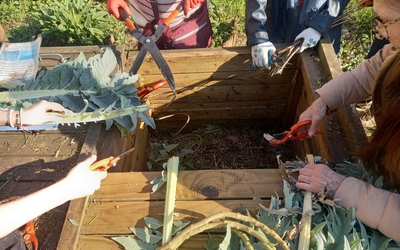 séance de découpage