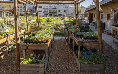 les étals de vente de la ferme urbaine 