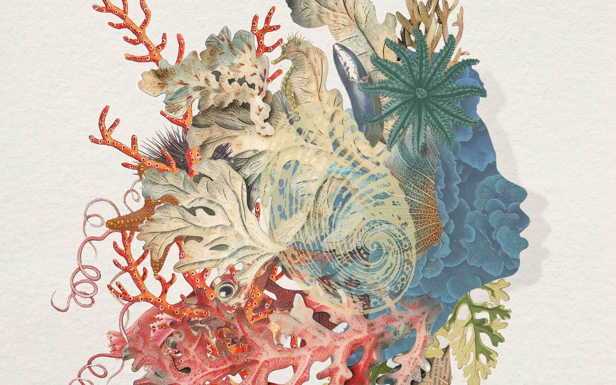 un mélange d'animaux marins, algues, coquillages qui forment un visage