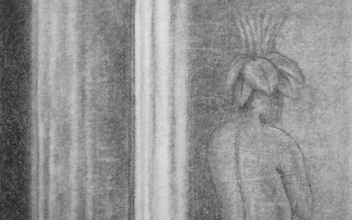 Détail du dessin tête de mandragore