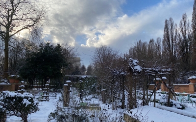 Potager de Bercy sous la neige