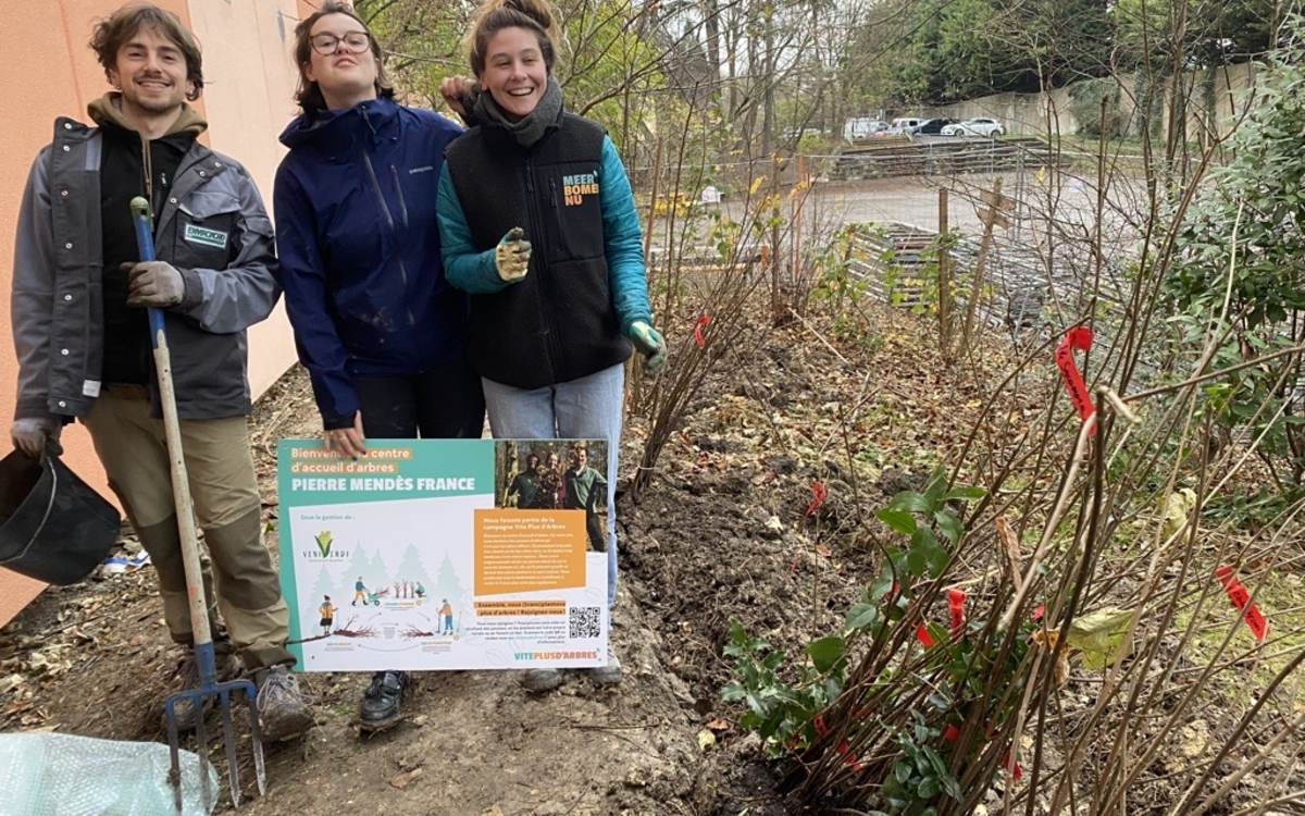 jardiniers heureux de sauver des arbres