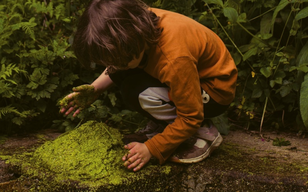 Image de couverture du livre