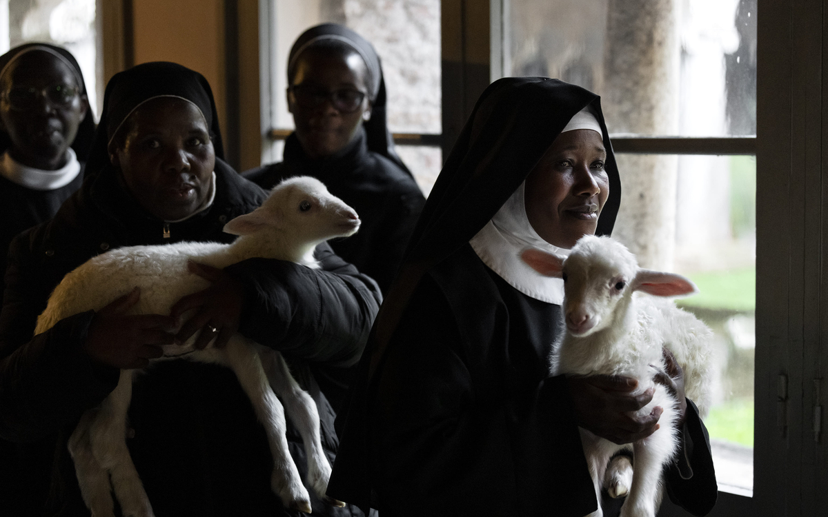 "Agnus Dei", Massimiliano Camaiti