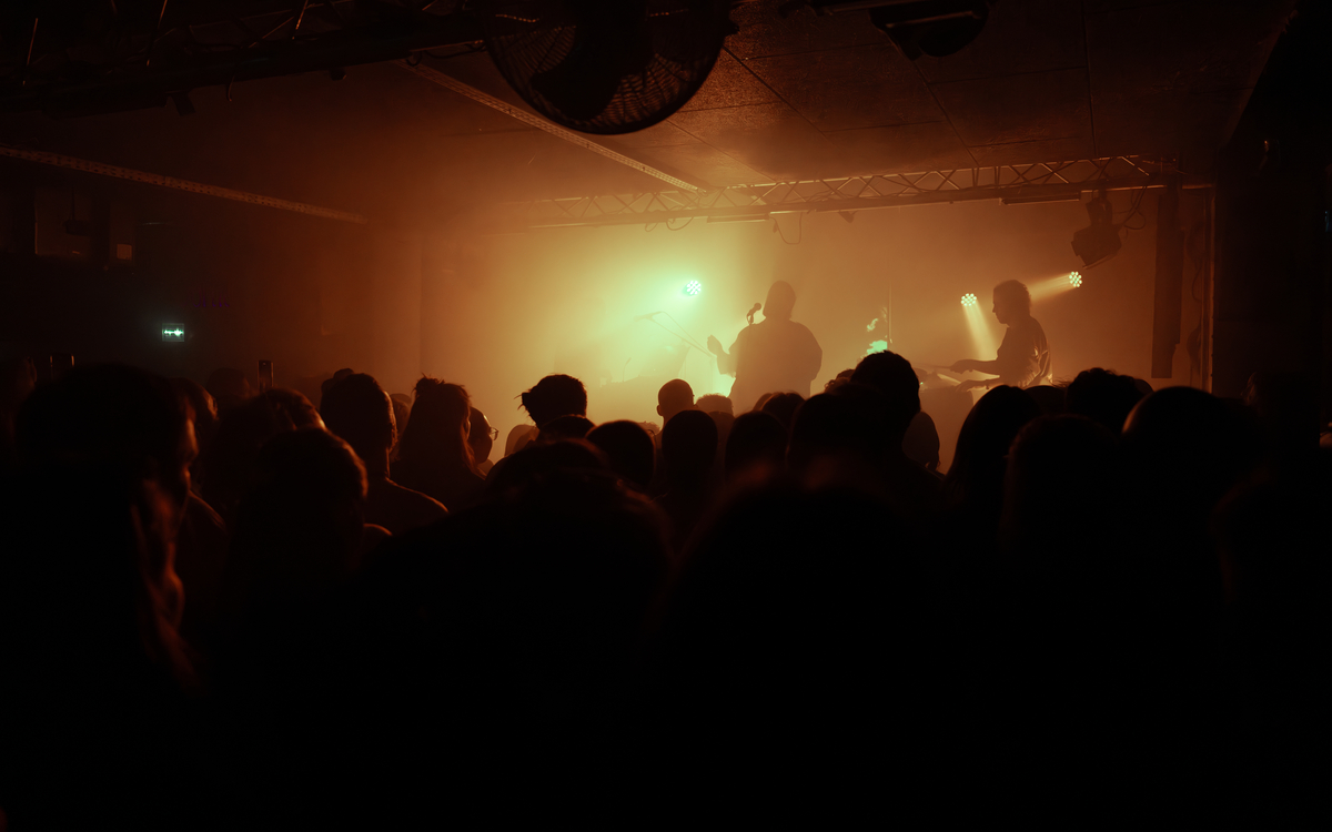 Photo prise pendant un concert à la Bellevilloise