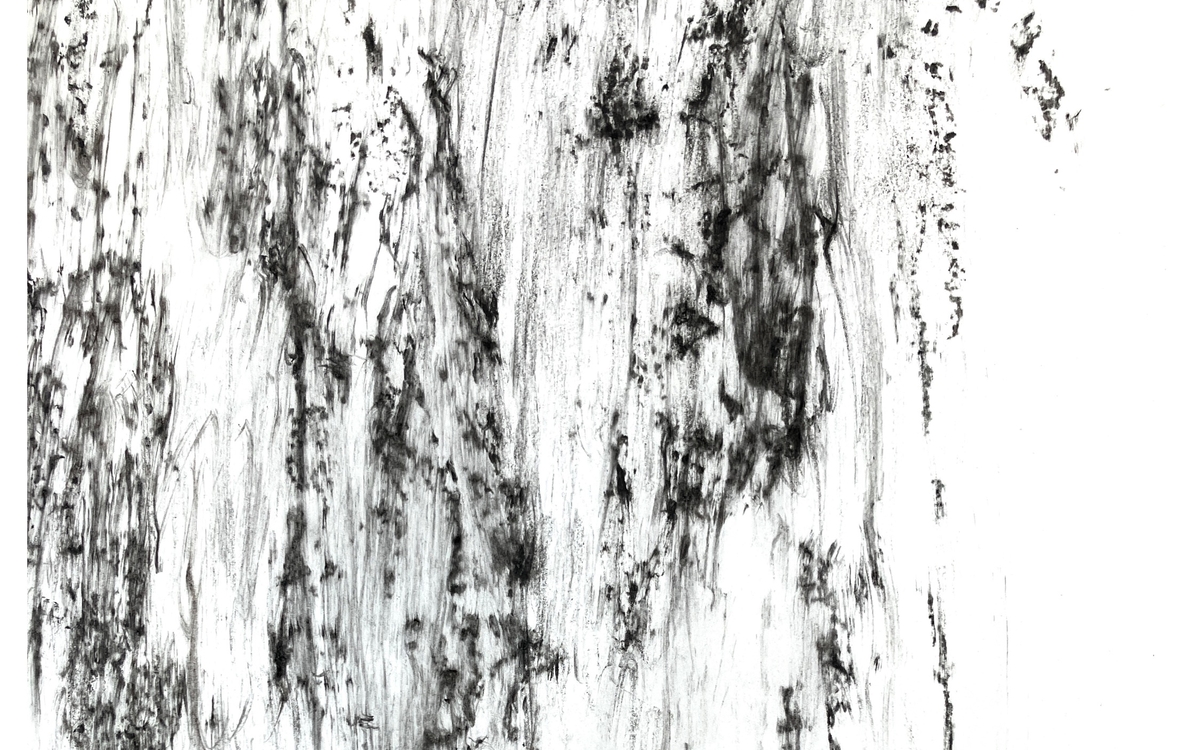 Frottage d'écorce de pin en fusain