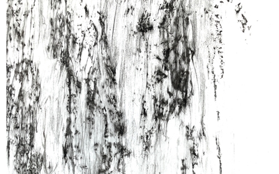 Frottage d'écorce de pin en fusain